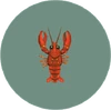 Crawfish (City Folk)