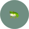 Frog (City Folk)