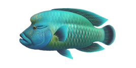 NH-Poisson-Napoléon