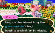 Cherry trying to sell a green wardrobe to the player.