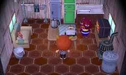 Rasher | Animal Crossing Wiki | Fandom Rasher | Animal Crossing Wiki | Fandom