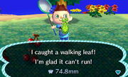 Walking Leaf in New Leaf.