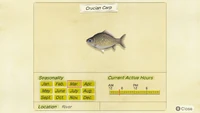 NH-encyclopedia-Crucian carp