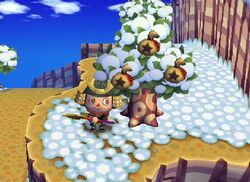 Árboles | Animal Crossing Enciclopedia | Fandom