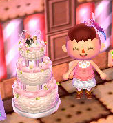 Player with wedding cake on display.