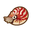 NH-Icon-chamberednautilus