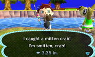 Mitten crab caught in New Leaf