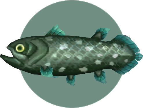 Coelacanthシーラカンス SWIM STANCE CHANGE 2枚 West Indian Ocean Coelacanth - New Species (1.13) at Planet