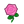 NH-pink rose icon.png