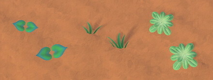 Early Autumn 2.png