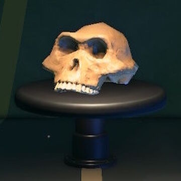Australopithecus Animal Crossing Wiki Fandom Australopithecus Animal Crossing Wiki Fandom