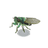 NH-Furniture-Robust cicada model.png