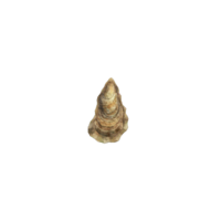 Oyster nh.png