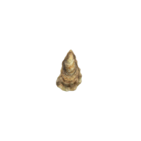 Oyster | Animal Crossing Wiki | Fandom Oyster | Animal Crossing Wiki | Fandom
