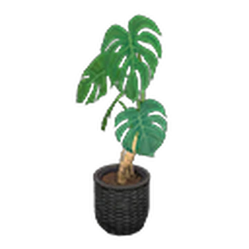 Monstera | Animal Crossing Wiki | Fandom