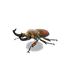 NH-Furniture-Rainbow stag model.png