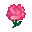 Pink Carnation (New Leaf icon).PNG