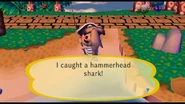 Catching a hammerhead shark in City Folk