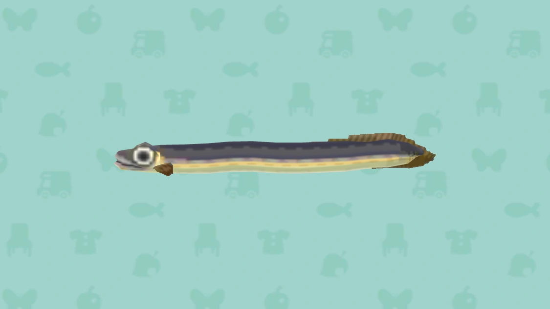 Eel Animal Crossing Wiki Fandom