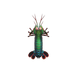 Mantis Shrimp NH