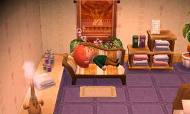 Dream Suite Animal Crossing Wiki Fandom