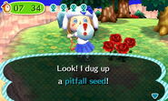 Player digging a pitfall seed from the ground