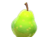 Fruit/Gallery