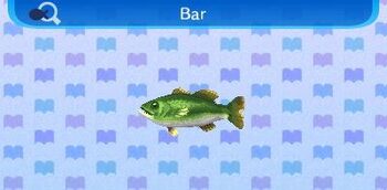 Bar