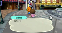 Biskit talking to player in the city City Folk.