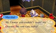 Marshal speaking to the player in Happy Home Designer.