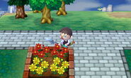 Flower Bed Dig Attempt