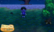 A player next to a tarantula in New Leaf.