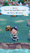 In a Pocket Camp event.