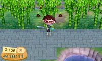 Un joueur devant des bambous dans Animal Crossing: New Leaf