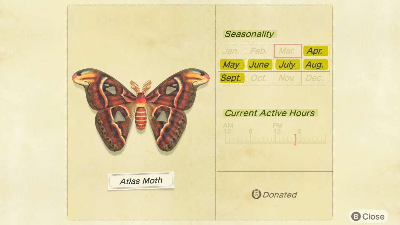 Acnh atlas moth discount