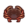 🟡Crabe de Dungeness