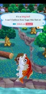 Catching a king koi in Pocket Camp
