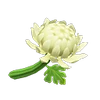 Chrysanthème blanc-NH.png (12 kio) Base blanche