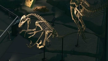 Deinonychus NH