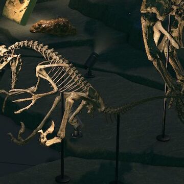 Deinonychus Animal Crossing Wiki Fandom Deinonychus Animal Crossing Wiki Fandom