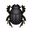 NH-Icon-dungbeetle