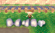 All rock types in New Leaf