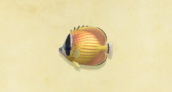Butterfly fish, Animal Crossing Wiki