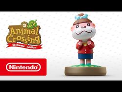 Animal crossing welcome amiibo 3ds clearance