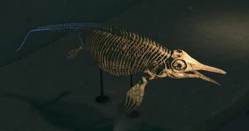 Opthalmosaurus museum