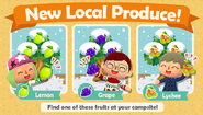 The announcement of new fruits in Pocket Camp