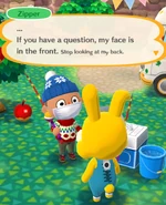 Zipper's back zipper