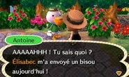Antoine tout chamboulé