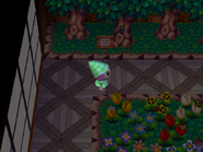 Flat stag beetle in the Museum in Animal Crossing.