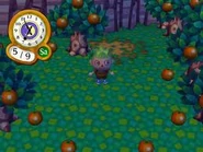 A patch of grass as seen normally, with minimum wear.